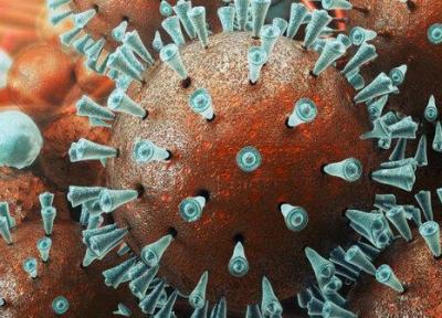 فوت یک نفر در خراسان شمالی بر اثر ابتلا به ویروس کرونا