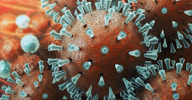 فوت یک نفر در خراسان شمالی بر اثر ابتلا به ویروس کرونا