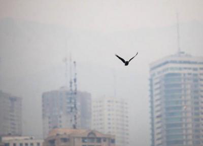 آلودگی هوا پارک های تهران را تعطیل کرد