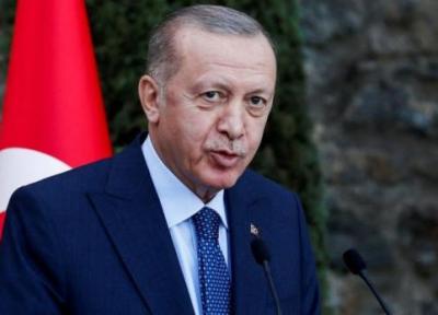وعده اردوغان درباره کنترل نرخ بهره و تورم