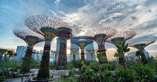 برترین کارهایی که باید در سنگاپور انجام دهید سنگاپور (تور سنگاپور)